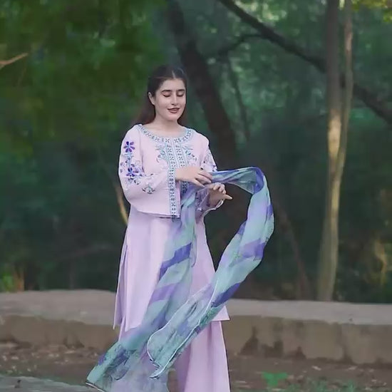 Sapphire Dhanak 3019 product video detail
